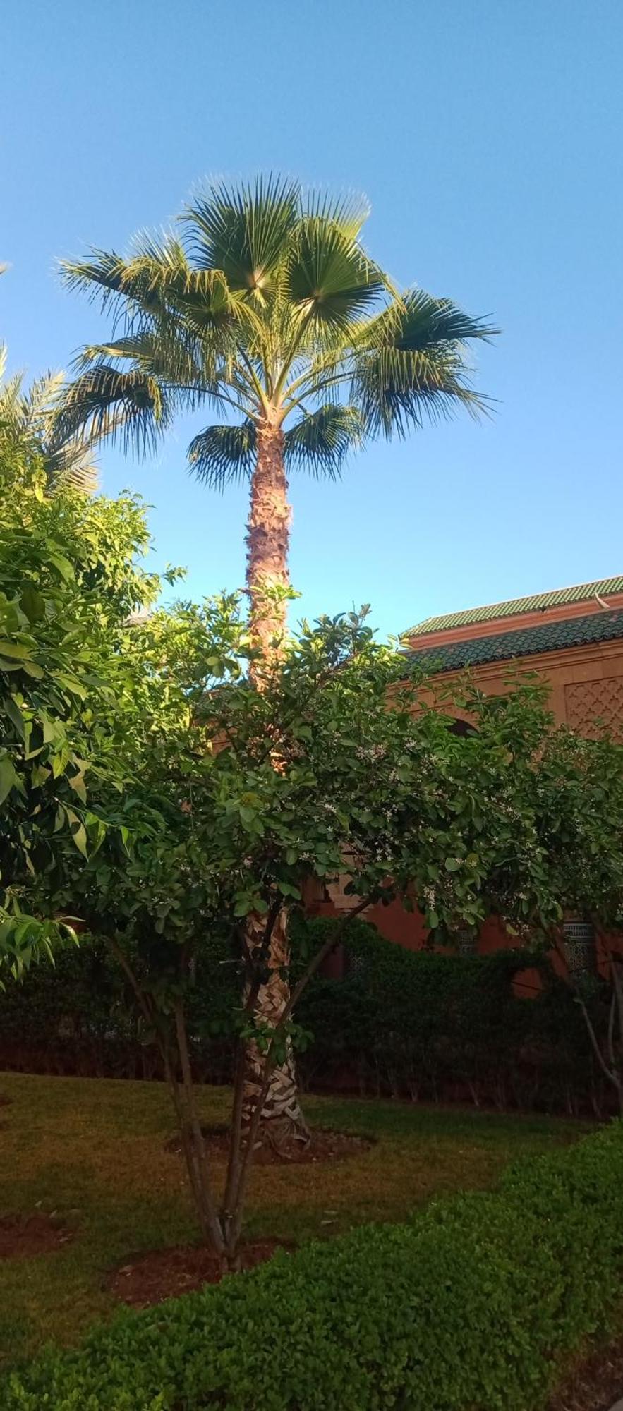 Riad Al-Bushra Marrakesch Exterior foto