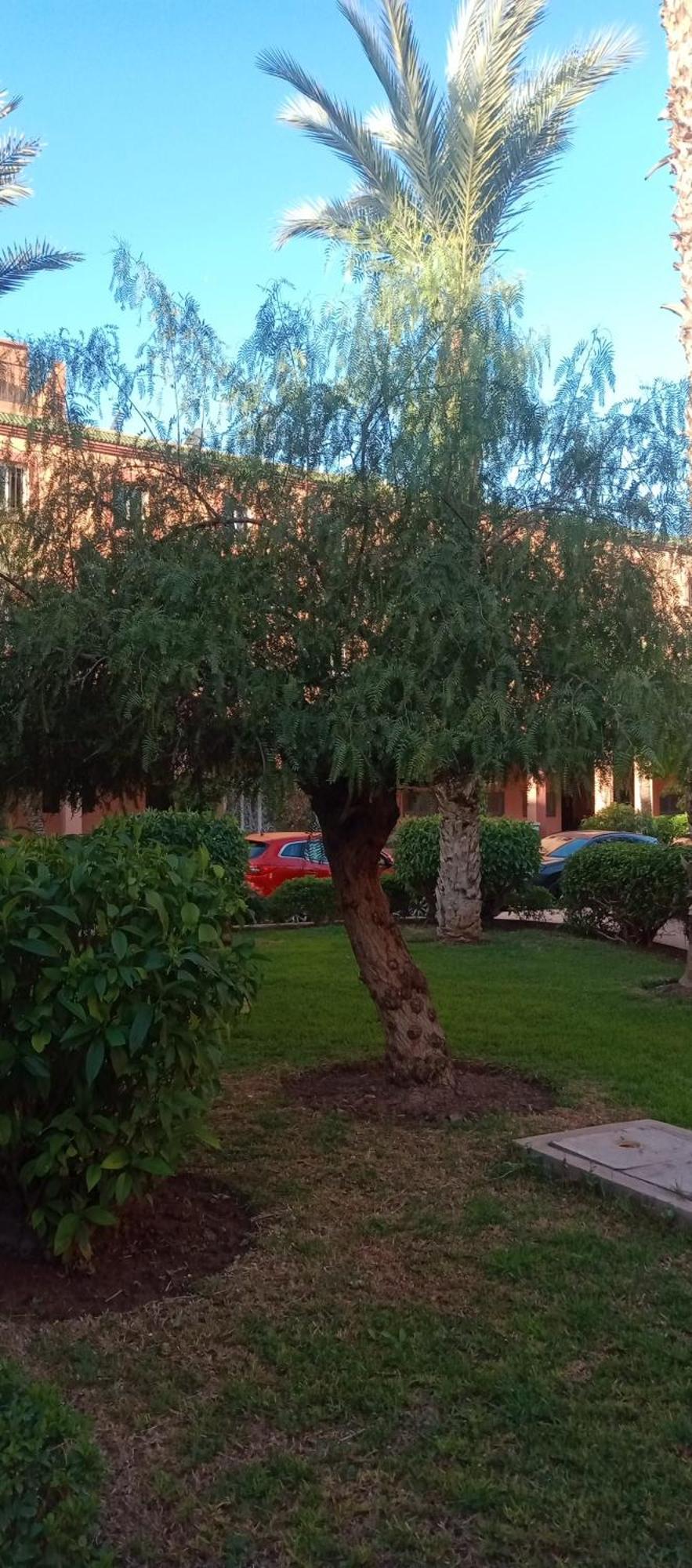 Riad Al-Bushra Marrakesch Exterior foto