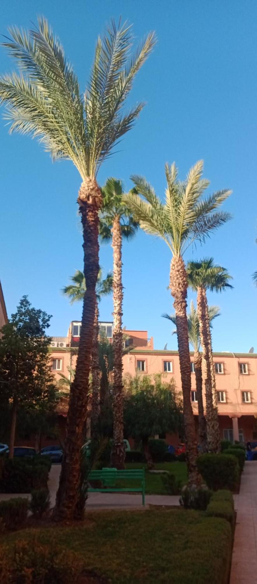 Riad Al-Bushra Marrakesch Exterior foto